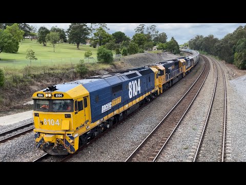 Pacific National 8104, 8228 & 8137 with 9535 Grain at East Maitland - 26/3/23