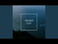 Awake (feat. burwell)