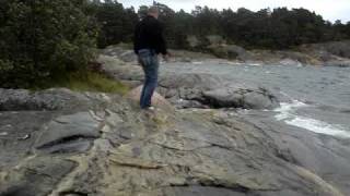 Training Reina (Chesapeake Bay Retriever, 6 months) to fetch in the Finnish Archipelago
