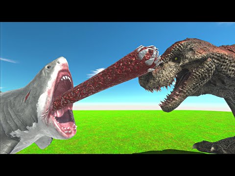 Baby Megalodon vs EVERY Dinosaurs in ARBS