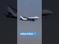 Indigo Flight Status Video Indigo Flight Whatsapp Status Flight Video Status Song ️ ‍ ️