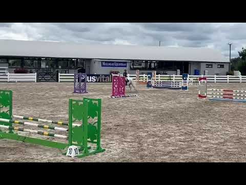 148 Show-jumping Pony - Image 2