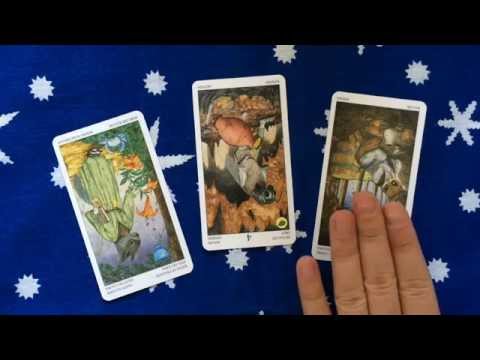 Tarot Reading 28 June 2015 | Psychic Tarot Cards and Numerology: 5