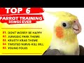 PARROT TRAINING SONGS EVER Whistle Training Teach Your Bird Cockatiel Singing Budgie