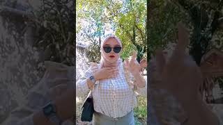 Download lagu ANJIR TOKETNYA GEDE BANGET #shorts mp3