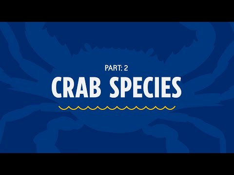 Crab Species