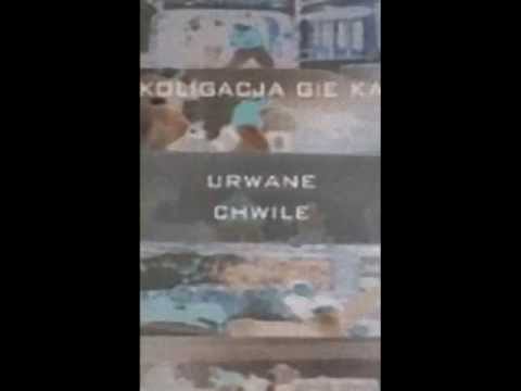 Koligacja Gie Ka - Domufka