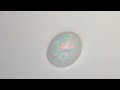 Opale Nobile taglio cabochon ovale, 5.36 ct Video 1