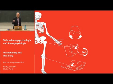 Folge 11: Motorik - Vorlesung Wahrnehmungspsychologie - Karl Gegenfurtner