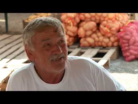 Paradajz nikad skuplji