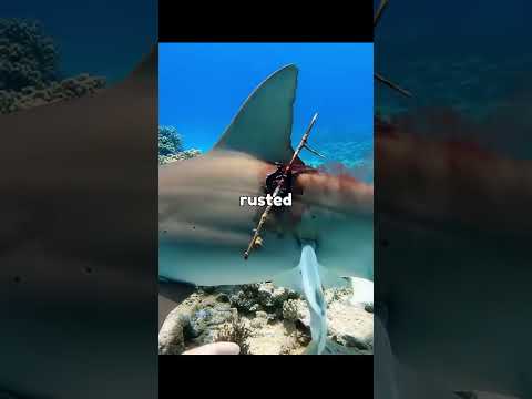 Nature Had Other Plans ❤️❤️🩹🩹