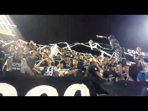 Mancha Negra Asa x Crbosta 2016