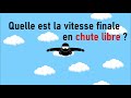 Chute Avec Résistance De L Air Calcul De La Vitesse Finale En Chute Libre D Un Parachutiste