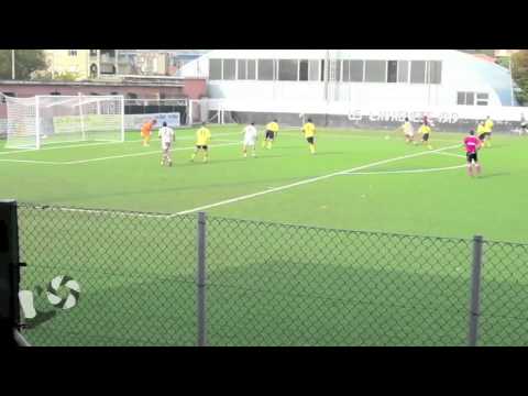 L'Osservatore in Poltrona - Borroni Cesare