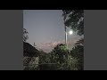 Lonely Streetlights