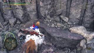 【#モンスターハンターワイルズ】(PS5) {HR100を目指して}