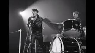 GENE VINCENT Wild Cat