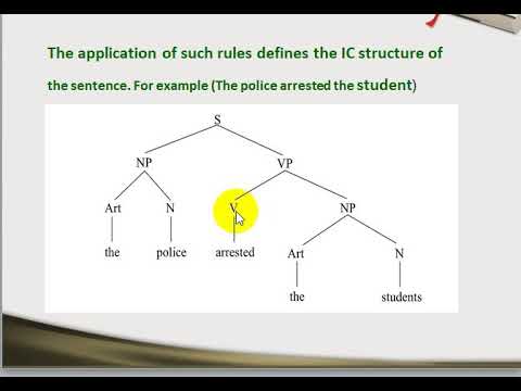 The History of Syntax