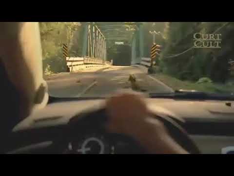 Boas ações, boas recompensas!