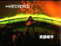 Wildrover Wmv