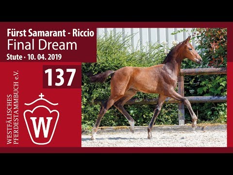 137 Final Dream Stute v. Fürst Samarant - Riccio