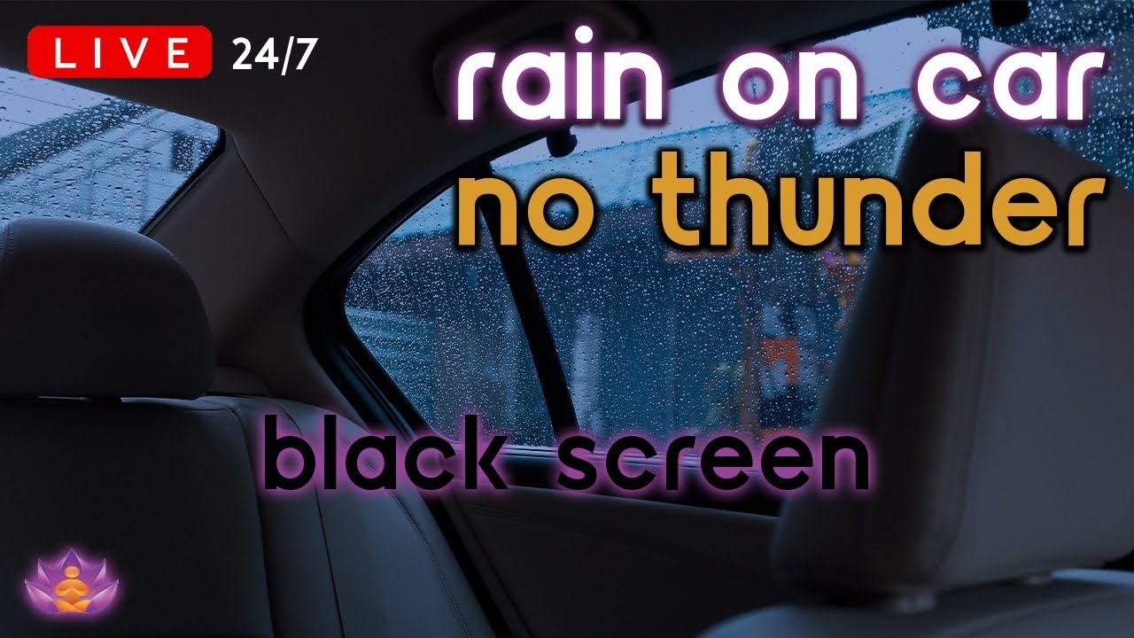 🔴 [LIVE 24/7] Rain on Car | Rain Ambience No Thunder | Rain Sounds for Sleeping [Black Screen]