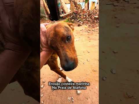 ATAFONA CIDADE DE SÃO JOÃO DA BARRA RJ