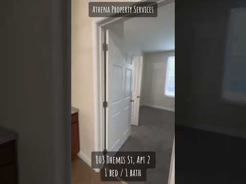 803 Themis - Video 2 of 2