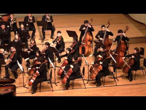 S. Rachmaninoff -  Piano Concerto No.2 Mov.1 :TON PHILHARMONIC ORCHESTRA