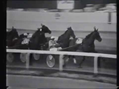 1975 Interdominions - Trotters' Grand Final, Alexandra Park, Auckland: Castleton's Pride