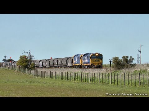 Pacific National Grain Train At Gheringhap Loop - PoathTV Australian Railways