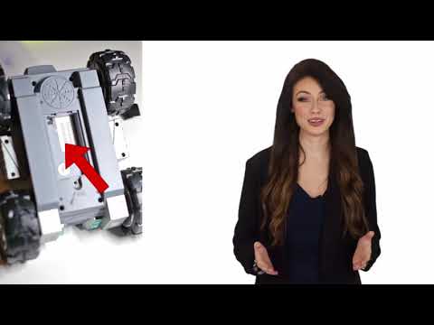 Scout AI Setup Guide