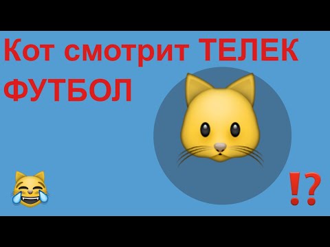 Наш КОТ Смотрит видео. КОТ Смотрит Футбол. Это смешно cat is watching tv