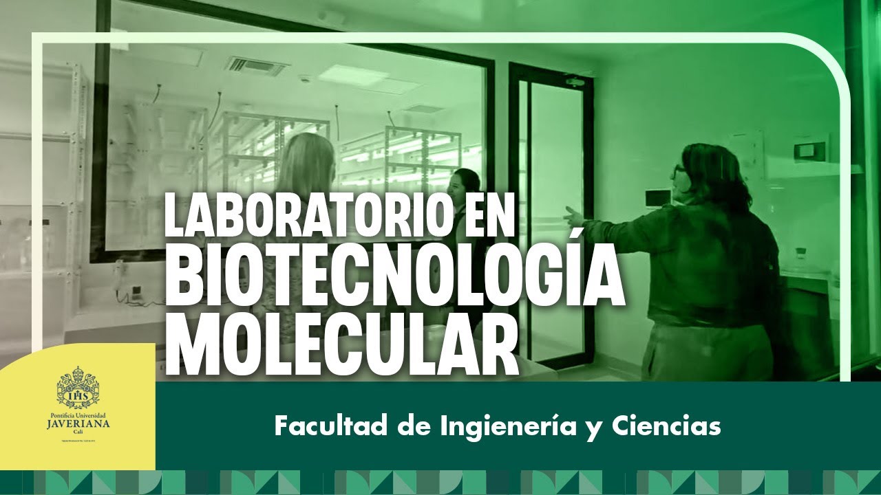 Este moderno espacio está destinado a fortalecer la docencia y la investigación en biología molecular, con énfasis en estudios de plantas, cultivos y tejidos vegetales. ¿Te imaginas las increíbles oportunidades que este laboratorio ofrece a nuestros estudiantes y profesores? ¡Es una maravilla! Nuestro nuevo Laboratorio en Biotecnología Molecular es el lugar perfecto para desarrollar proyectos innovadores y aplicar técnicas avanzadas. Desde estudios detallados de plantas hasta el análisis de tejidos vegetales, ¡las posibilidades son infinitas! Además, es una razón más para elegir la Universidad Javeriana Cali. Si estás pensando en dónde continuar tus estudios en biotecnología, ¡no busques más! Este laboratorio en biotecnología molecular está aquí para hacer la diferencia. No te pierdas el video completo para conocer todos los detalles sobre nuestro nuevo laboratorio y ver cómo puedes ser parte de esta experiencia educativa única.