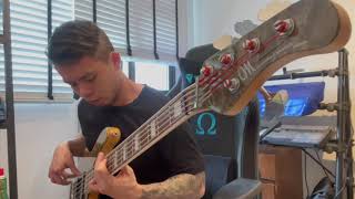 Video thumbnail for La Bella White Nylon Tape Wound Strings by Brandon Gan