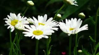 I Only  Want To Be With You(by Vonda Shepard)