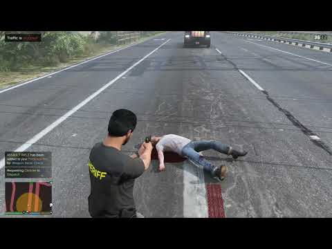 [LSPDFR] Pursuit #21