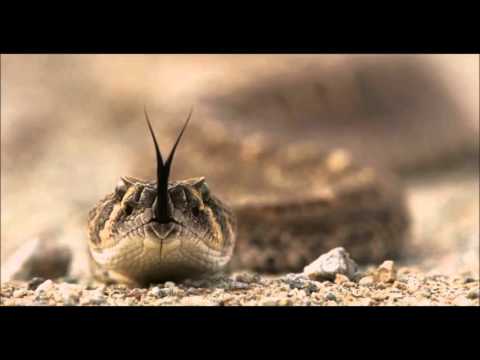 Way Out West 'Anything But You'