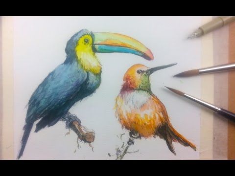 How to Draw Paint Birds with Ink and Watercolor Part 1