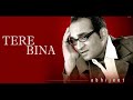 KABHI MAUSAM Abhijit Tere Bina Album