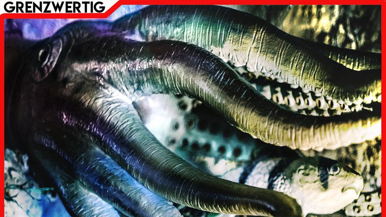 Sind Oktopusse Aliens die zu uns auf die Erde kamen!