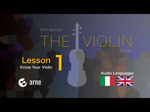 Lezioni di violino online No 1 - conosciamo il violino - IMPARIAMO IL VIOLINO IN 5 MINUTI - ARNE