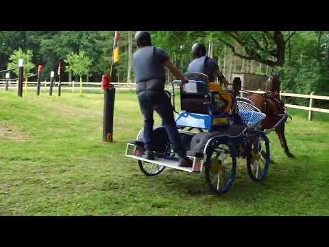 Fahrturnier Alfhausen 22.5.2022