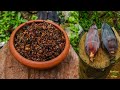 Village Cooking Banana Flower Recipe ගමේ රසට කෙසෙල් මුව සීනි �