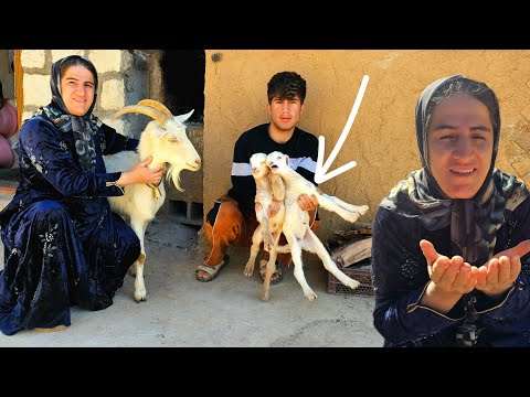 A Miracle is Born at Night; Tears of Joy from Reza and His Mother