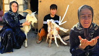 Download lagu Sebuah Keajaiban Terlahir di Malam Hari; Air Mata Kebahagiaan dari Reza dan Ibunya mp3 Download lagu Sebuah Keajaiban Terlahir di Malam Hari; Air Mata Kebahagiaan dari Reza dan Ibunya mp3