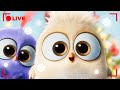 LIVE Angry Birds ENDLESS Episodes Laughter