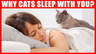 Why Does Your Cat Sleep With You? 6 Reasons You