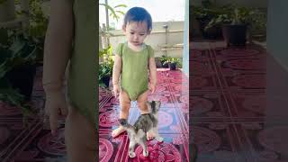 Download lagu kmu nakal jgn kemana2 😂 #kucing #kucinglucu #shorts #shortvideo #feedshorts mp3