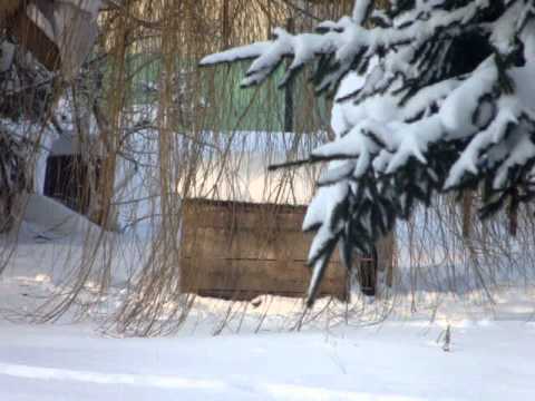 Zmarźńęta i zabiedzona ochrona posterunku policji Ruda Huta